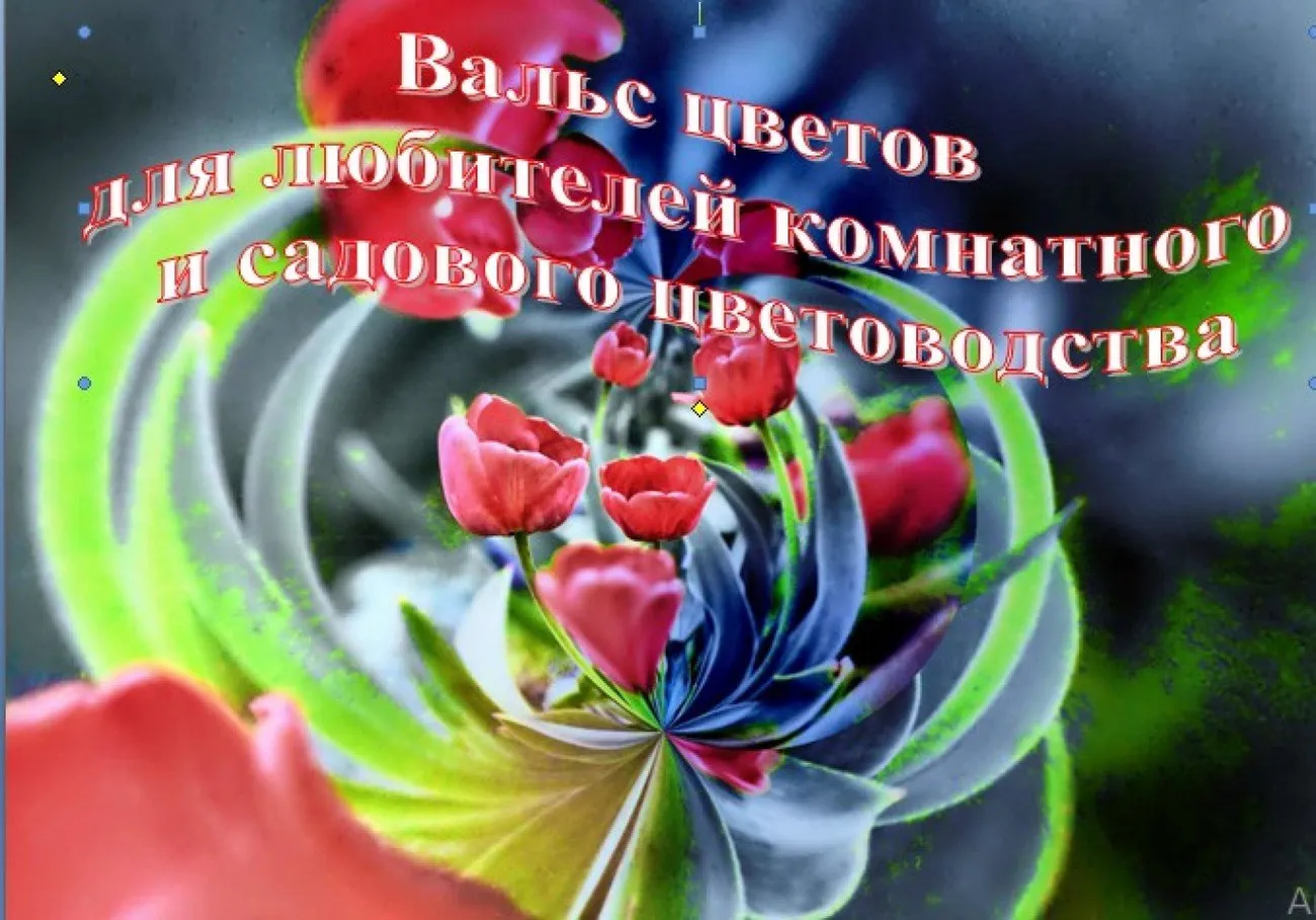 Без имени
