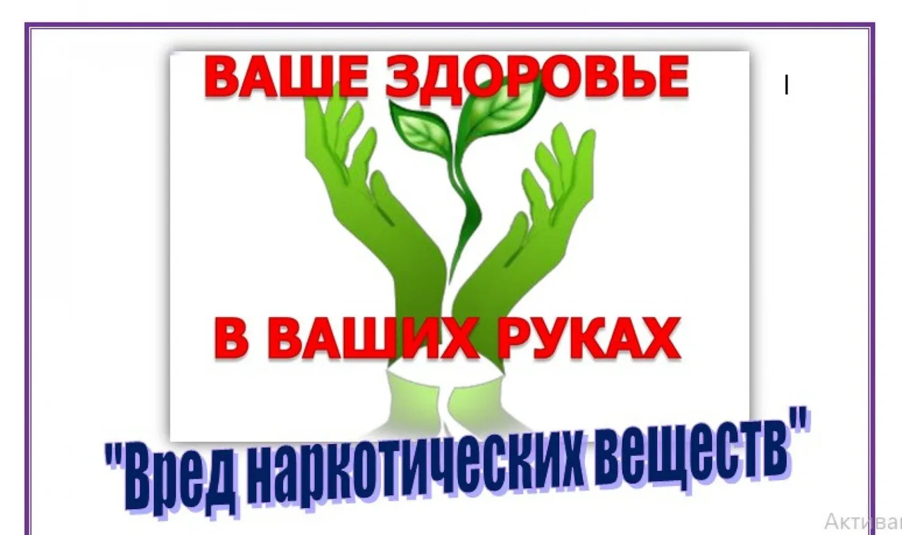 Без имени1