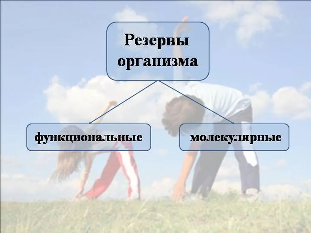 Slide2